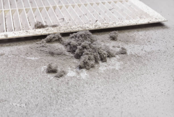 Air Duct Mold Removal in ND