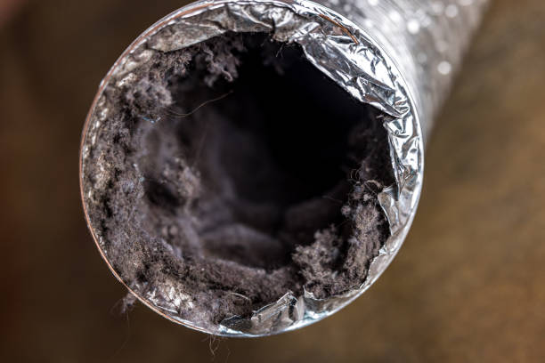 Best Affordable Duct Cleaning Services  in Valley City, ND